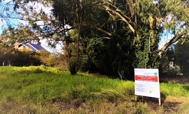 LOTE en SIERRA DE LOS PADRES!!!