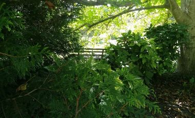 LOTE en SIERRA DE LOS PADRES!!!