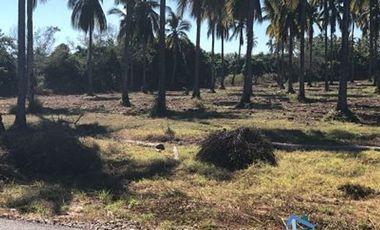 Terrenos en Playas de Mazatlán e Isla de la Piedra | Bienes Raices Tibesa
