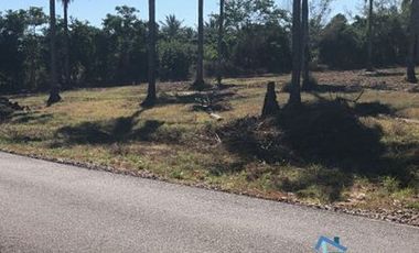 Terrenos en Playas de Mazatlán e Isla de la Piedra | Bienes Raices Tibesa