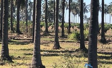 Terrenos en Playas de Mazatlán e Isla de la Piedra | Bienes Raices Tibesa