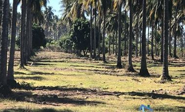 Terrenos en Playas de Mazatlán e Isla de la Piedra | Bienes Raices Tibesa