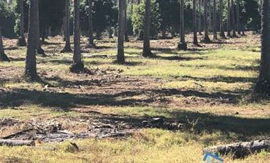 Terrenos en Playas de Mazatlán e Isla de la Piedra | Bienes Raices Tibesa