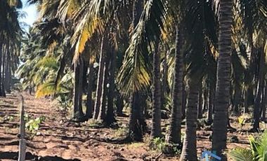 Terrenos en Playas de Mazatlán e Isla de la Piedra | Bienes Raices Tibesa