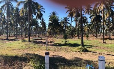 Terrenos en Playas de Mazatlán e Isla de la Piedra | Bienes Raices Tibesa