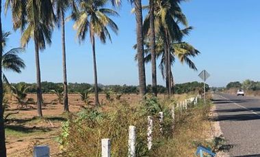 Terrenos en Playas de Mazatlán e Isla de la Piedra | Bienes Raices Tibesa