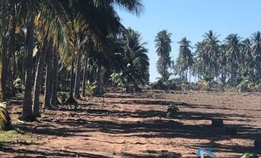 Terrenos en Playas de Mazatlán e Isla de la Piedra | Bienes Raices Tibesa
