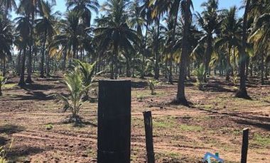 Terrenos en Playas de Mazatlán e Isla de la Piedra | Bienes Raices Tibesa