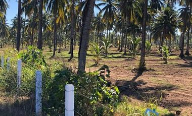 Terrenos en Playas de Mazatlán e Isla de la Piedra | Bienes Raices Tibesa