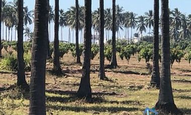 Terrenos en Playas de Mazatlán e Isla de la Piedra | Bienes Raices Tibesa
