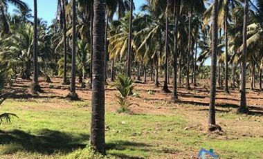 Terrenos en Playas de Mazatlán e Isla de la Piedra | Bienes Raices Tibesa