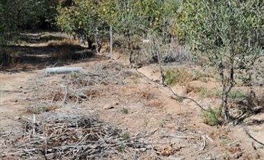 Sitio en venta en Copiapó