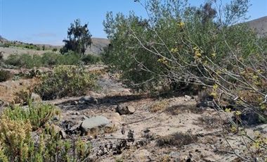 Sitio en venta en Copiapó