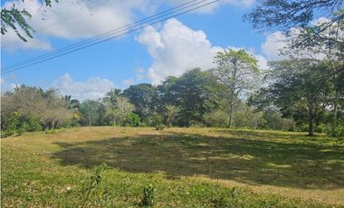 Se vende finca de 3.3 hectáreas en Llanito Verde, La Chorrera