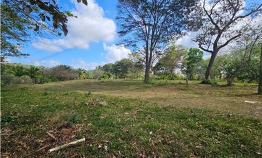 Se vende finca de 3.3 hectáreas en Llanito Verde, La Chorrera