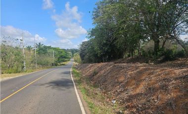 Se vende finca de 3.3 hectáreas en Llanito Verde, La Chorrera