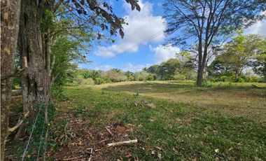 Se vende finca de 3.3 hectáreas en Llanito Verde, La Chorrera