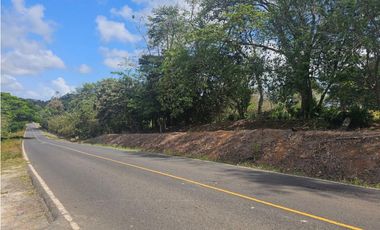 Se vende finca de 3.3 hectáreas en Llanito Verde, La Chorrera