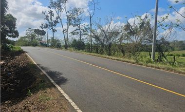 Se vende finca de 3.3 hectáreas en Llanito Verde, La Chorrera