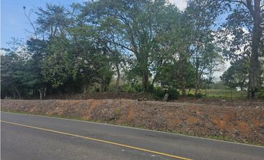 Se vende finca de 3.3 hectáreas en Llanito Verde, La Chorrera