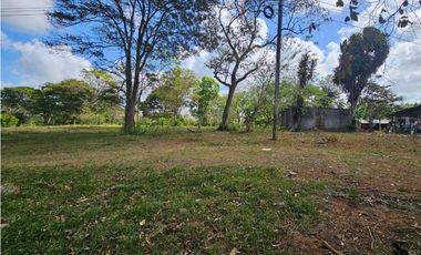 Se vende finca de 3.3 hectáreas en Llanito Verde, La Chorrera