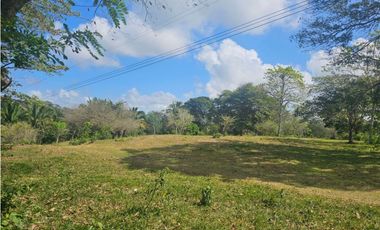 Se vende finca de 3.3 hectáreas en Llanito Verde, La Chorrera