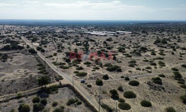 🌟 Oportunidad única de inversión en Piura! 🌟

¿Buscas un terreno con potencial en una ubicación estratégica? ¡Este es el lugar perfecto para ti! 🏡
