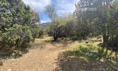 Parcela en Venta en La Punta Sn. Francisco de Mostazal