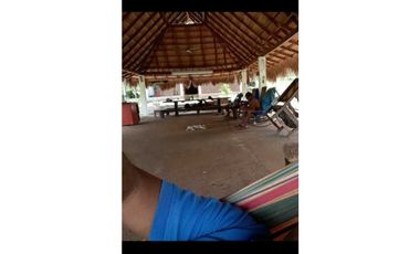 VENTA DE 5 HECTREAS VIA TIERRALTA