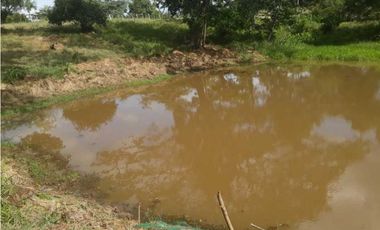 VENTA DE 5 HECTREAS VIA TIERRALTA