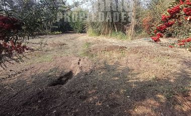 Sitio en Venta en Chicureo Poniente