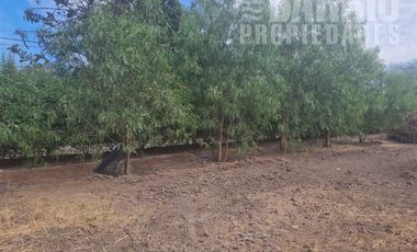 Sitio en Venta en Chicureo Poniente