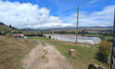 finca en arriendo en puente hamaca. Cod A6228