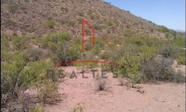 Venta Rancho Villa Ahumada, Chih. 776000 dlls. Mangon RAO