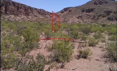 Venta Rancho Villa Ahumada, Chih. 776000 dlls. Mangon RAO