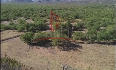 Venta Rancho Villa Ahumada, Chih. 776000 dlls. Mangon RAO