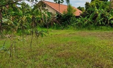 Tanah siap bangun di tengah kota Bintoro Demak