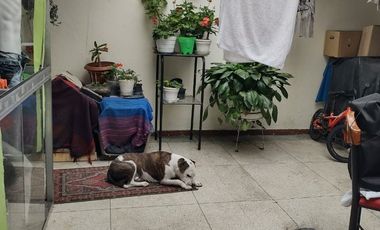 CASA EN VENTA EN BONANZA