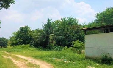 [692987] Selling 16,000m2 of Land - Kampar, Riau