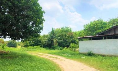 [692987] Selling 16,000m2 of Land - Kampar, Riau
