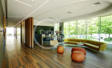 Oficina en Arriendo en Nueva Costanera / Vitacura