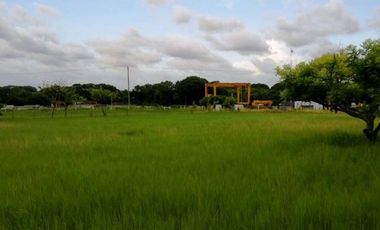 Terreno en Renta con ubicación en Paso del Toro, Veracruz, GRT-0021