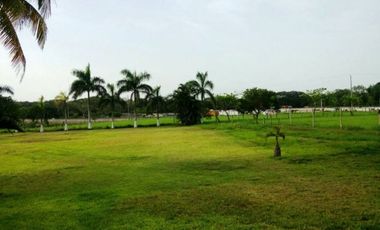 Terreno en Renta con ubicación en Paso del Toro, Veracruz, GRT-0021