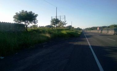 Terreno en Renta con ubicación en Paso del Toro, Veracruz, GRT-0021
