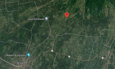Tanah di 2 ha di Karangrejo Garum cocok untuk pembibitan