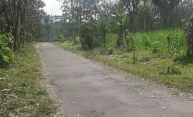 Tanah di 2 ha di Karangrejo Garum cocok untuk pembibitan