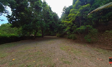 finca en venta en vereda miranda. Cod V4714
