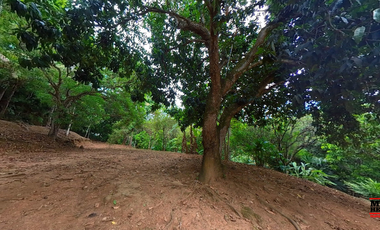 finca en venta en vereda miranda. Cod V4714