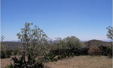 RANCHO en VENTA en San Diego de la Unión - $40mil la hectárea - 5,725 has