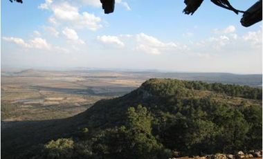 RANCHO en VENTA en San Diego de la Unión - $40mil la hectárea - 5,725 has